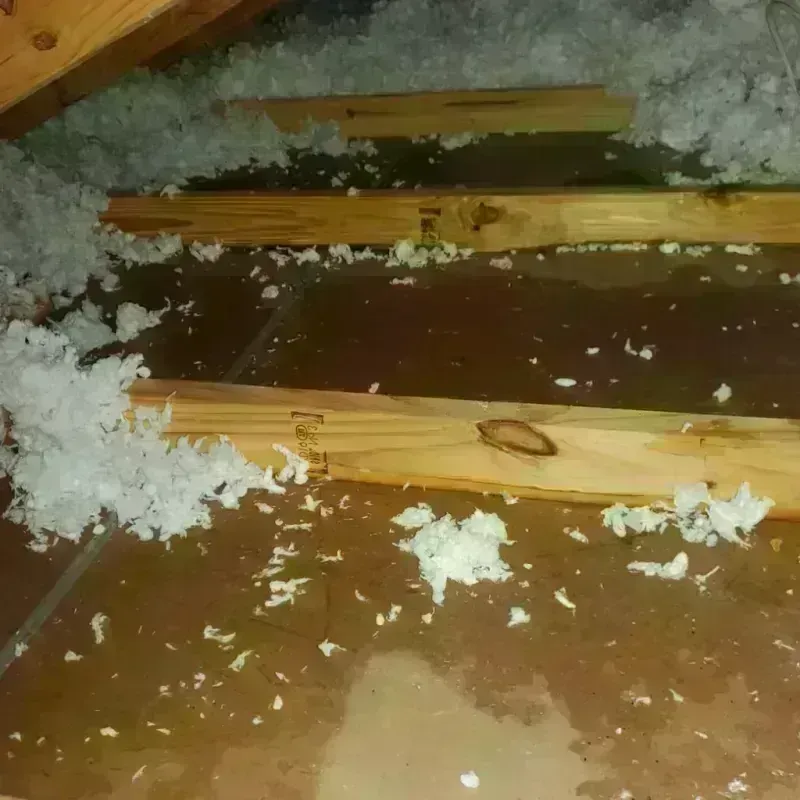 Attic Water Damage in Vandalia, OH