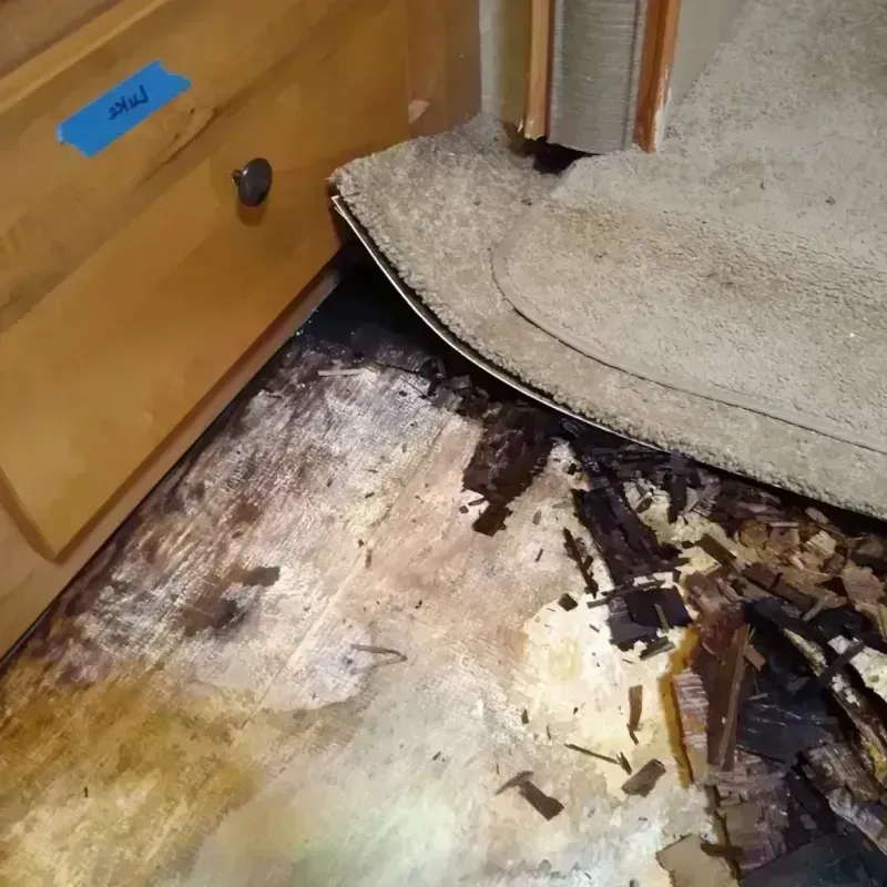 Wood Floor Water Damage in Vandalia, OH